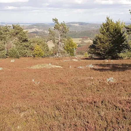 Gipfelblick * Willingen (Upland)